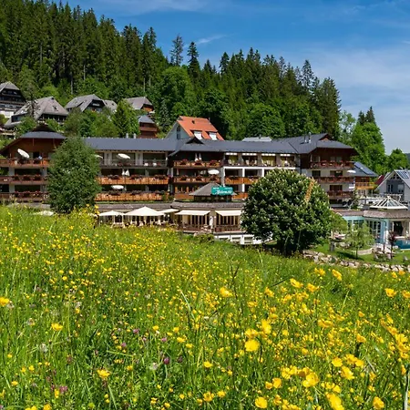 Kesslermuehle Hinterzarten
